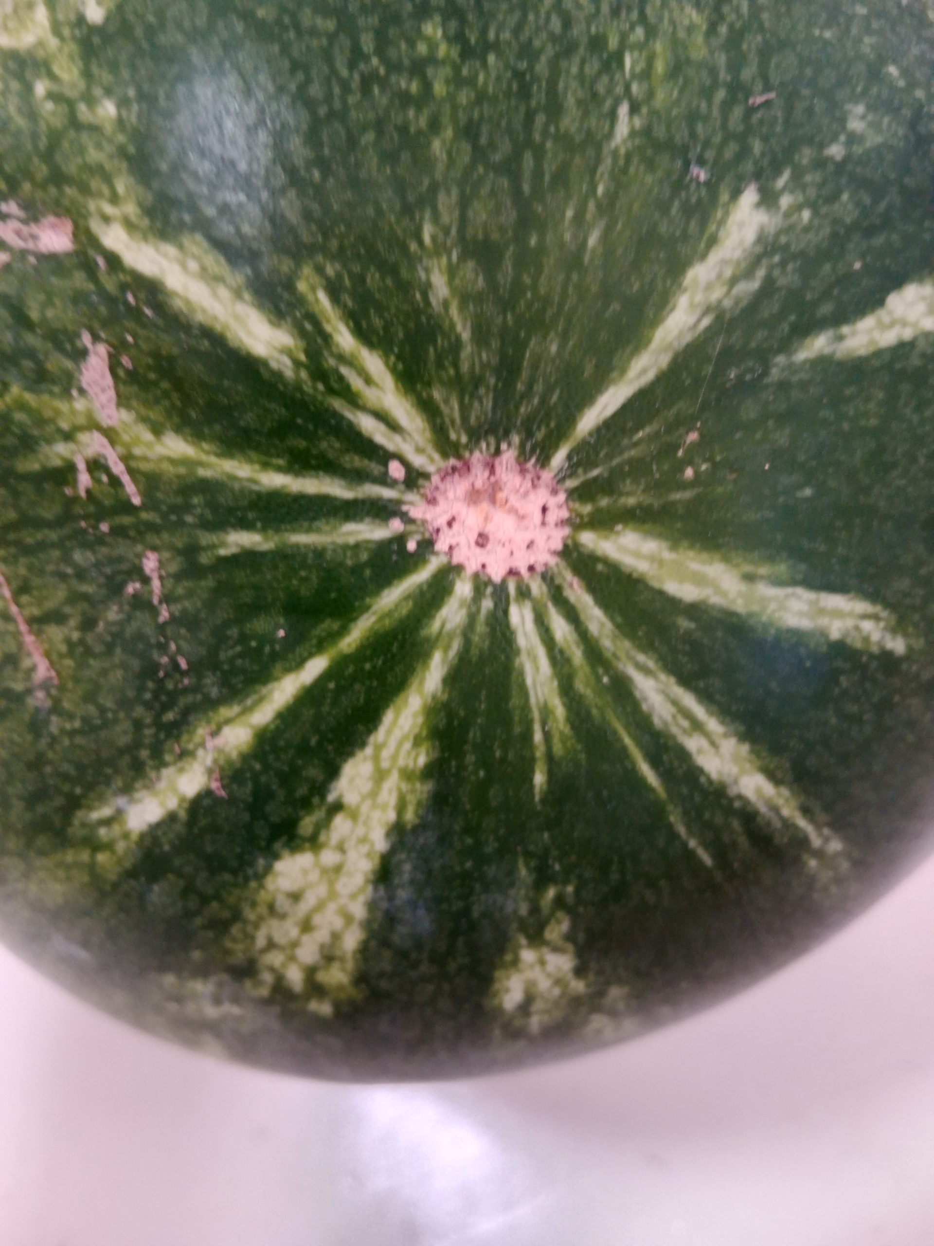 Die Blüte sagt übrigens nichts über den Reifegrad einer Melone aus.