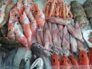 Fische auf dem Markt in Marsala