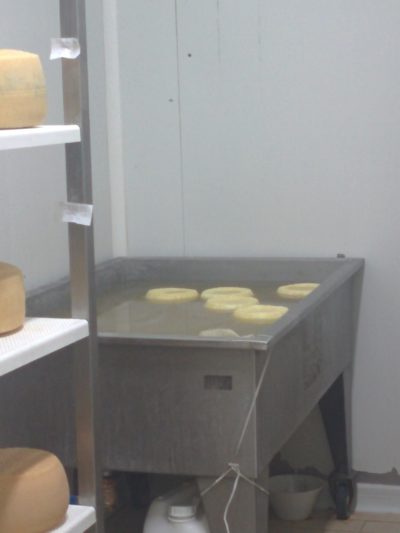 Salzbad für den Käse, Lagerzeit 24 Stunden