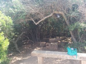 Romantische Baumhöle auf der Insel San Pantaleo