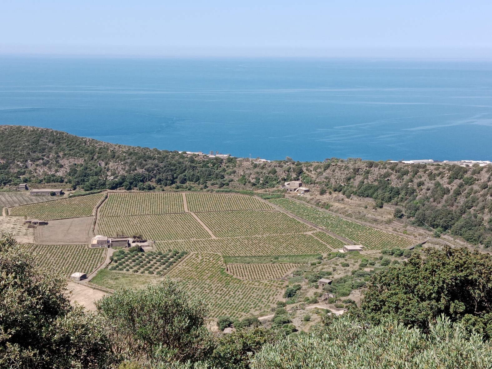 Blick über die Insel Pantelleria