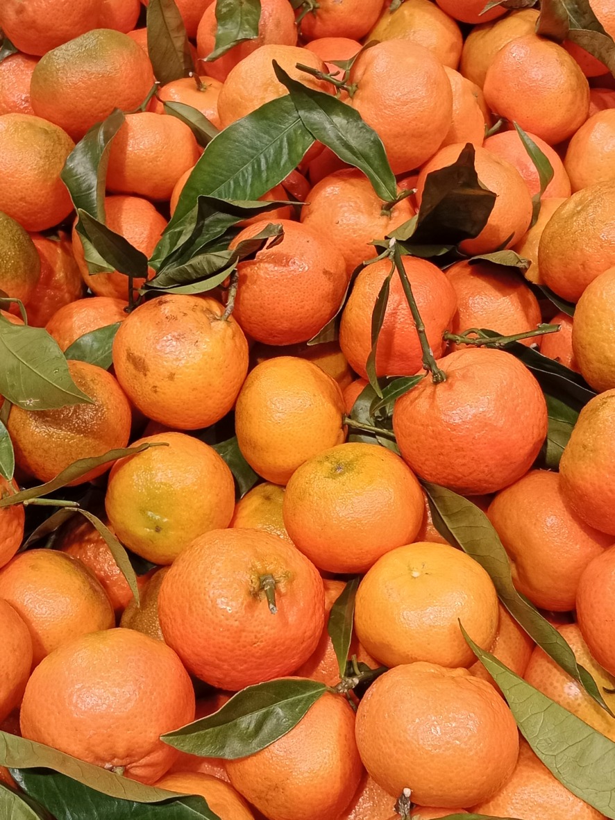 Frische, ungespritzte Mandarinen sind die Basis für die Marmelade