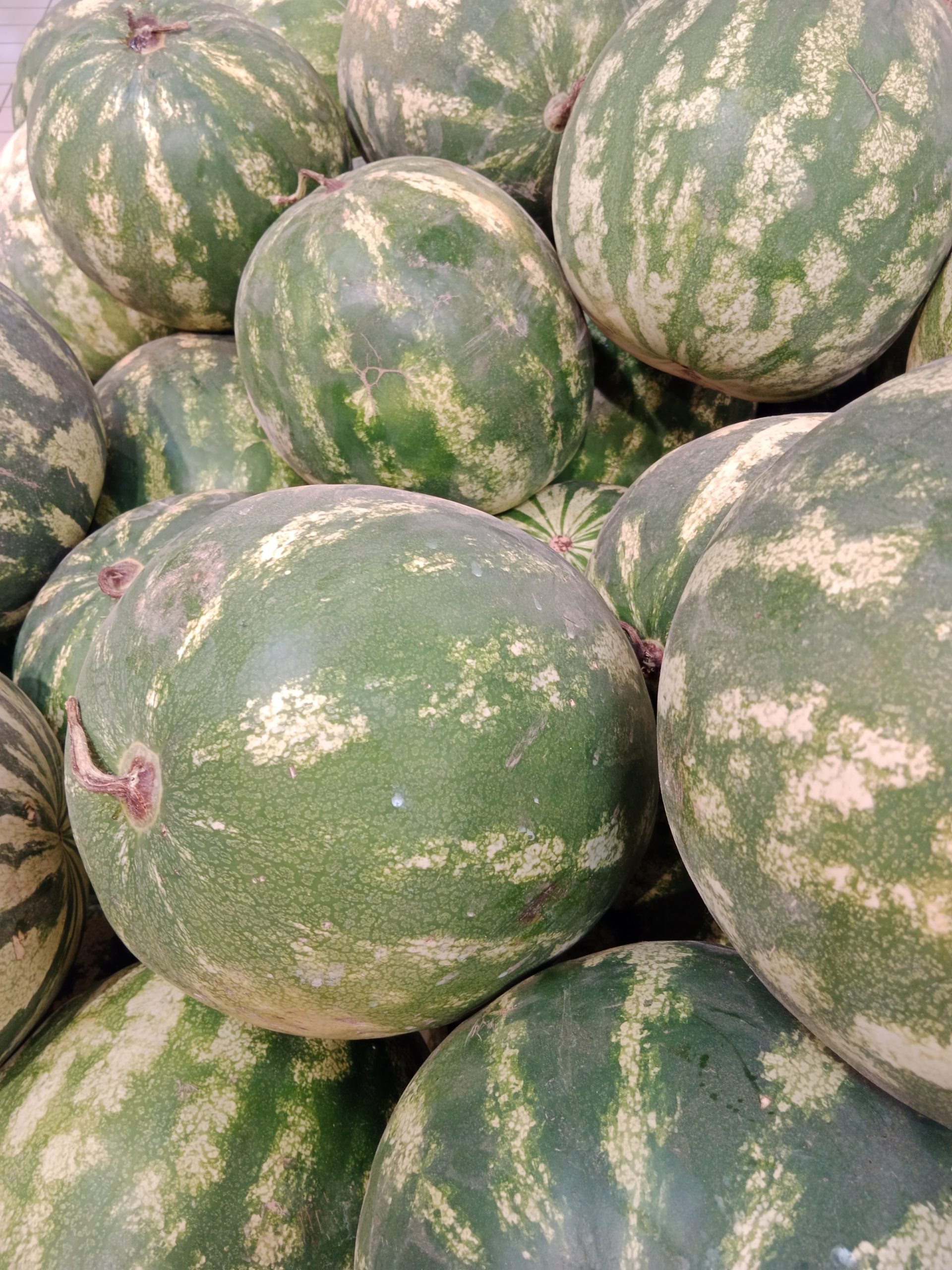Die guten und die weniger guten Wassermelonen